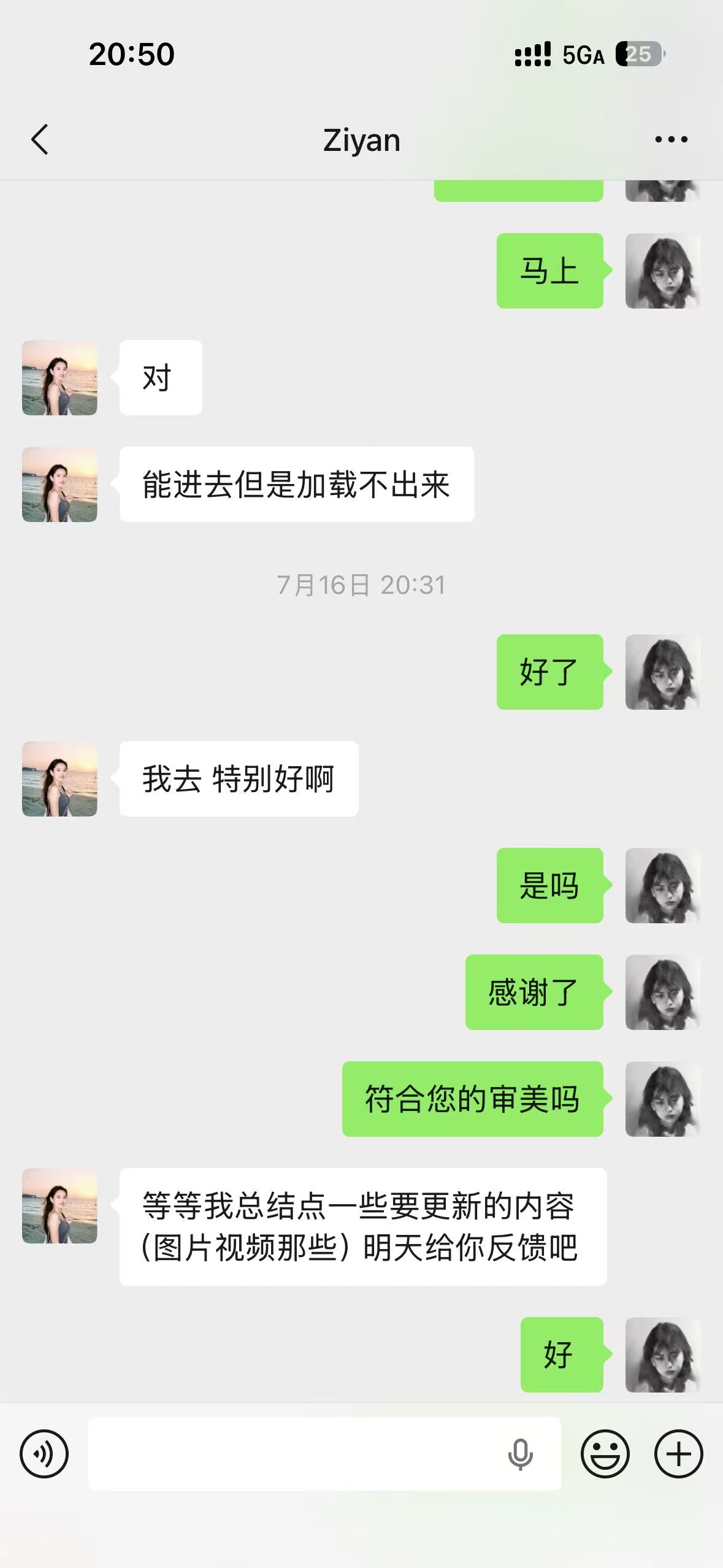 客户确认网站交付效果的沟通记录